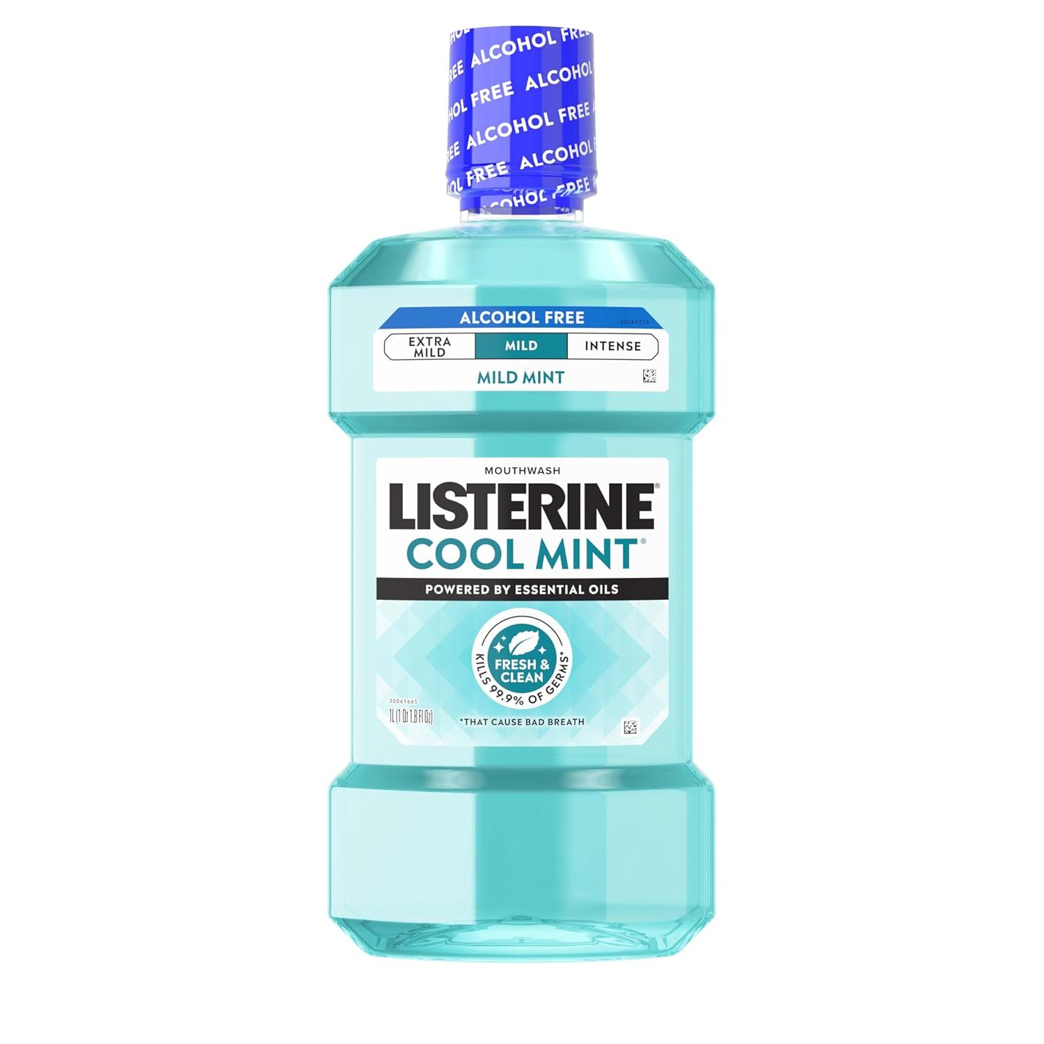 Displays the Listerine Cool Mint mouthwash bottle clearly on a white background to show the product packaging, branding, and key features like alcohol-free formula and mild mint intensity.