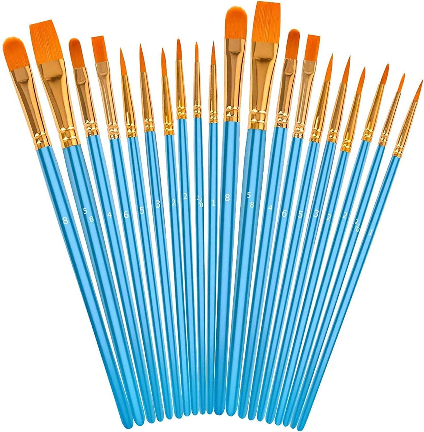 Displays the complete set of paint brushes with various sizes and tip shapes to show shoppers the variety and completeness of the kit for different painting techniques. Showcases the different brush…