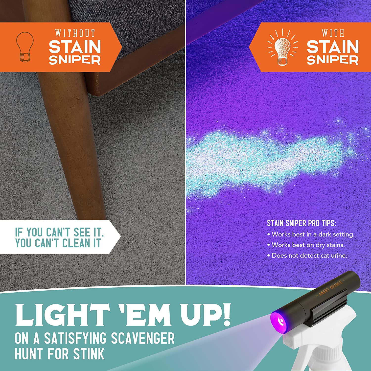ANGRY ORANGE INF PET 1: Infographics
