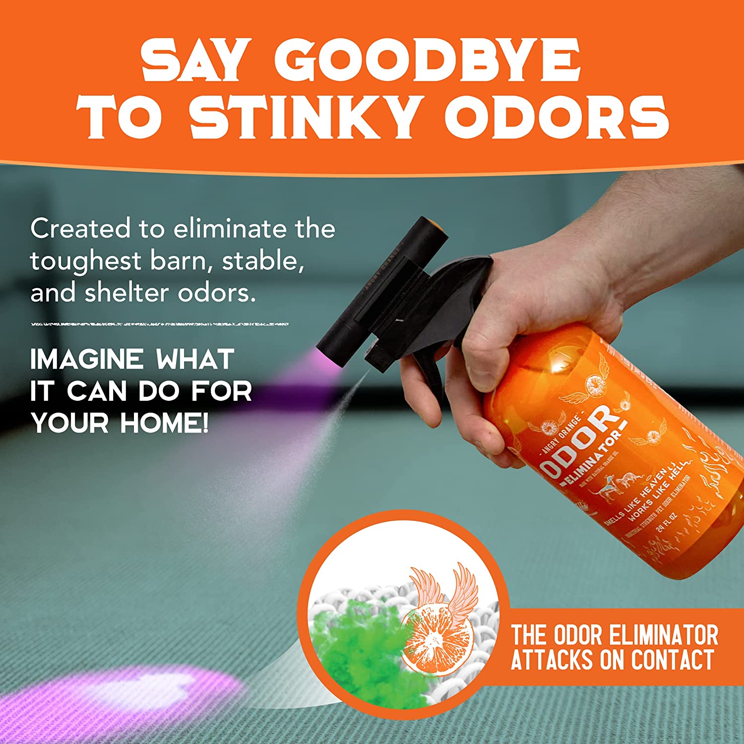 ANGRY ORANGE INF PET 2: Infographics