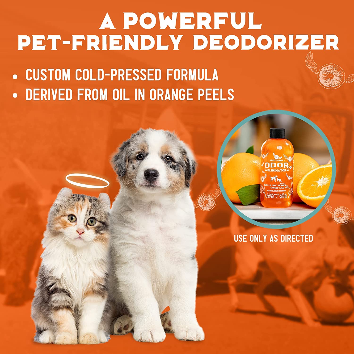 ANGRY ORANGE INF PET 5: Infographics