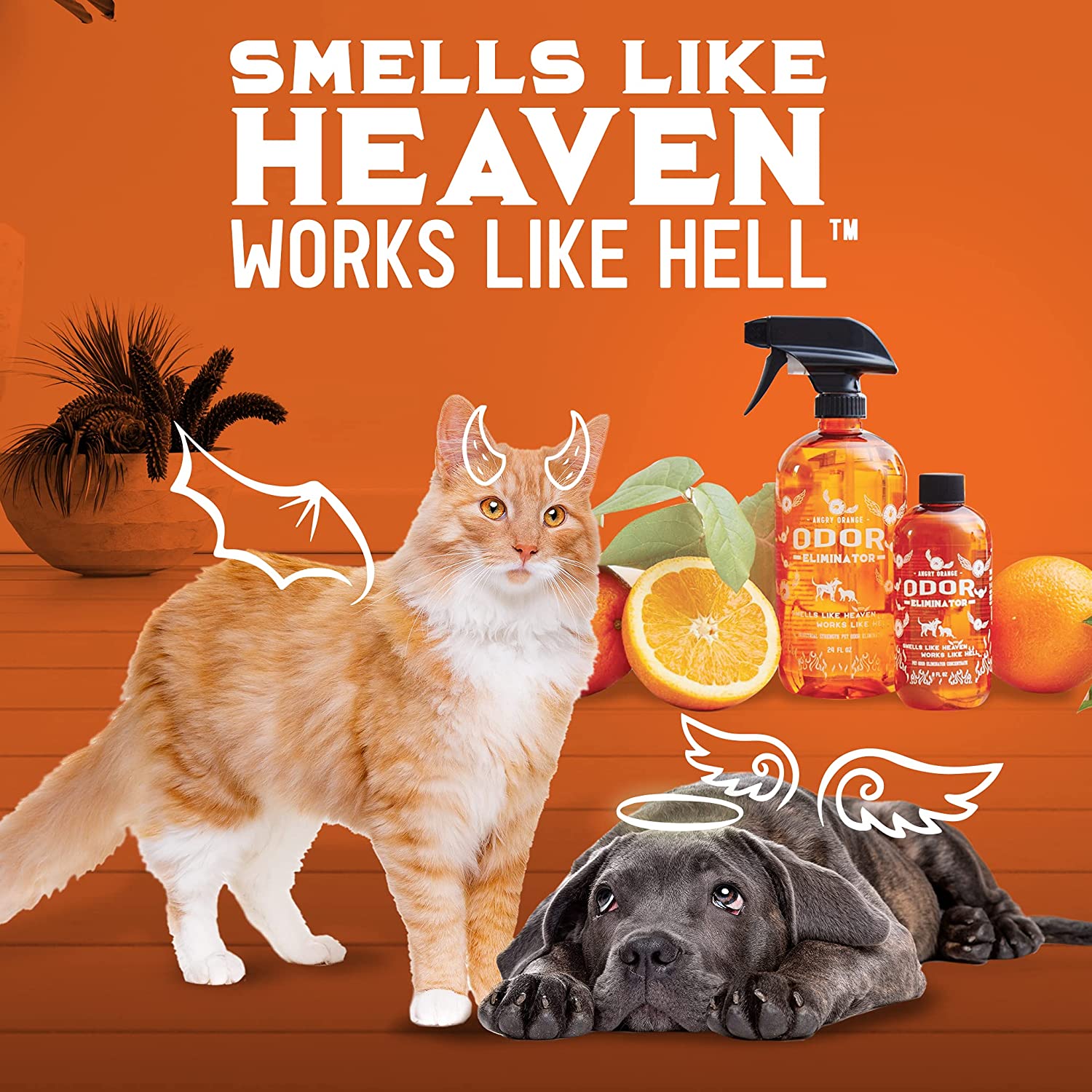 ANGRY ORANGE INF PET 6: Infographics