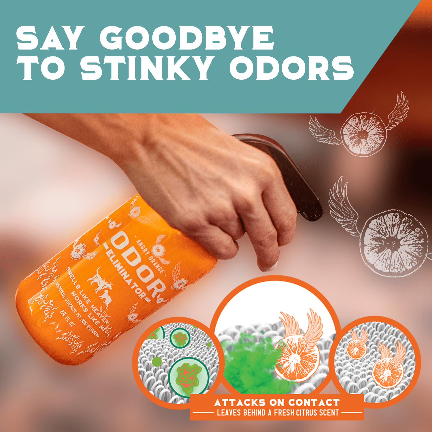 ANGRY ORANGE INF PET 8: Infographics