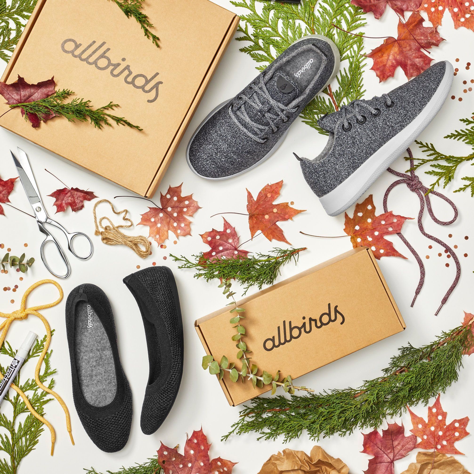 Allbirds 30: Backdrops