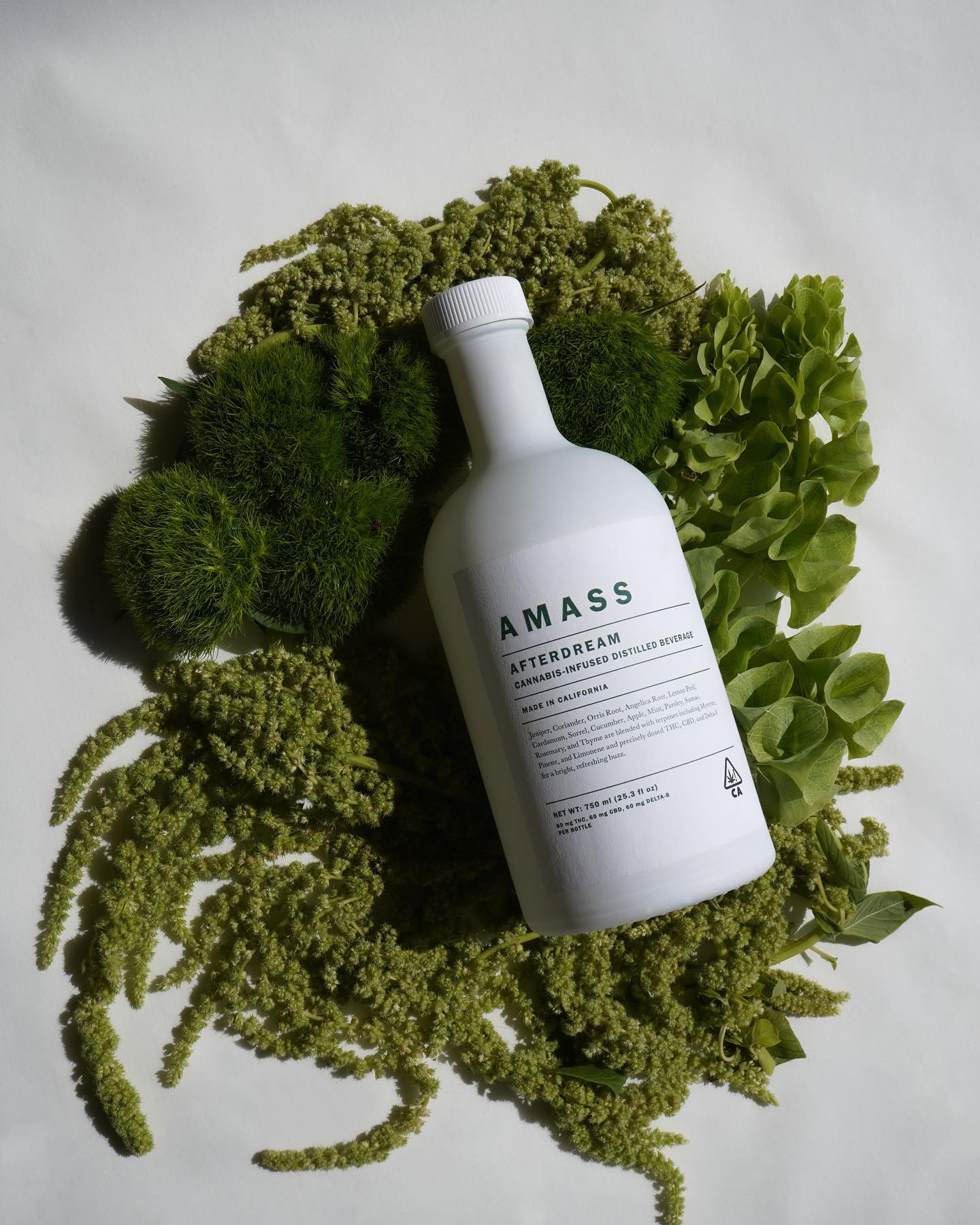 Amass 49: Backdrops