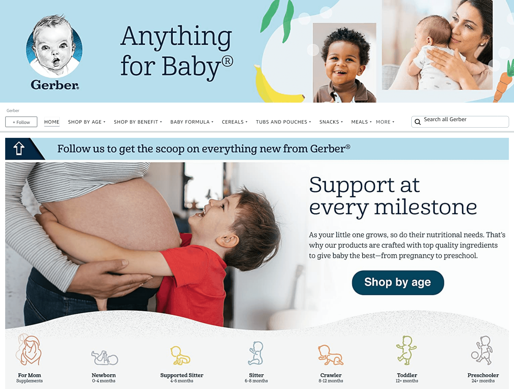 Amazon.com  Gerber: Storefront - Follow