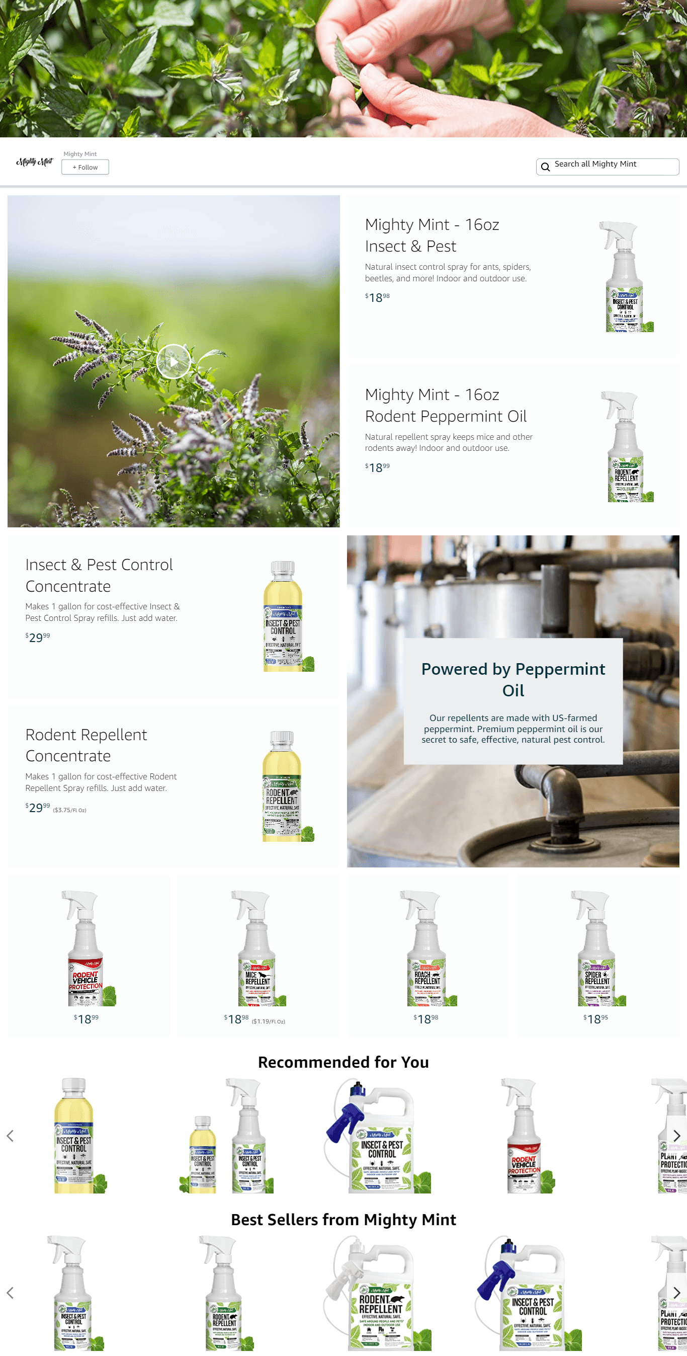 Amazon.com  Mighty Mint: Storefront