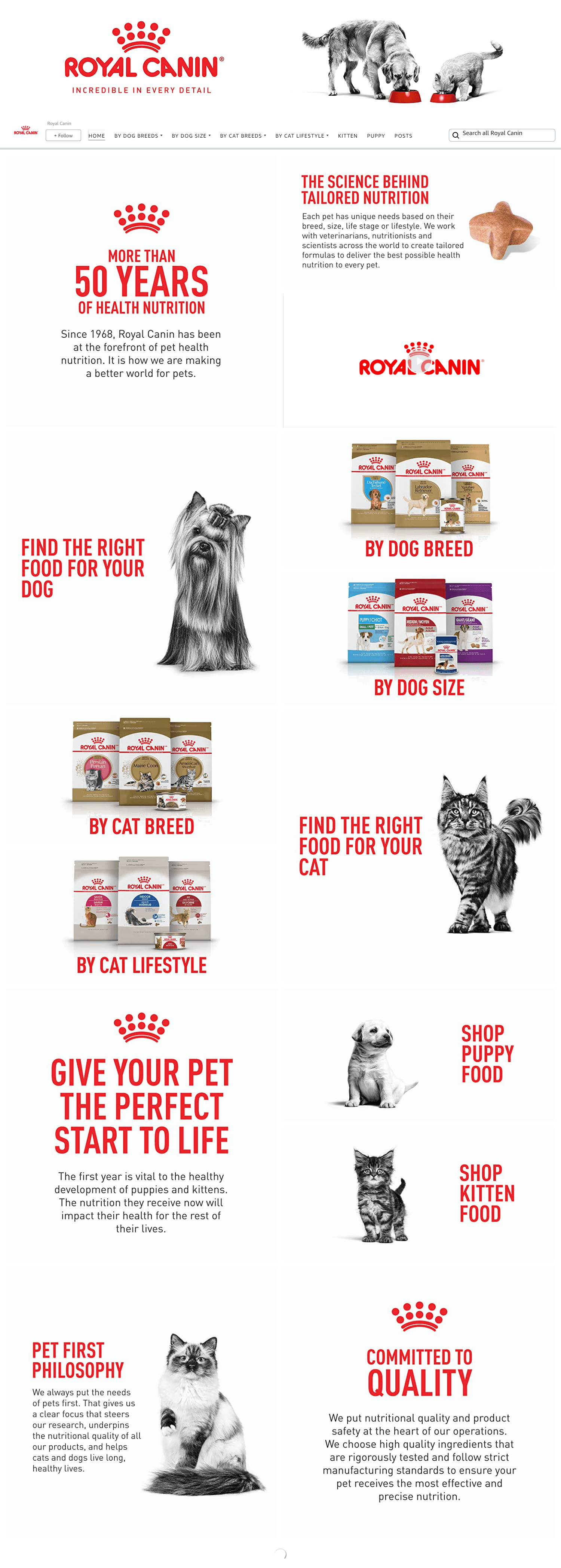 Amazon.com  Royal Canin: Storefront