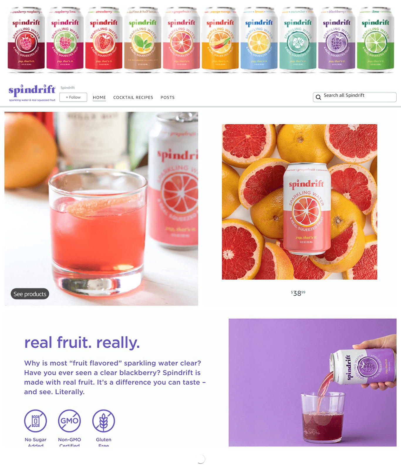 Amazon.com  Spindrift: Storefront