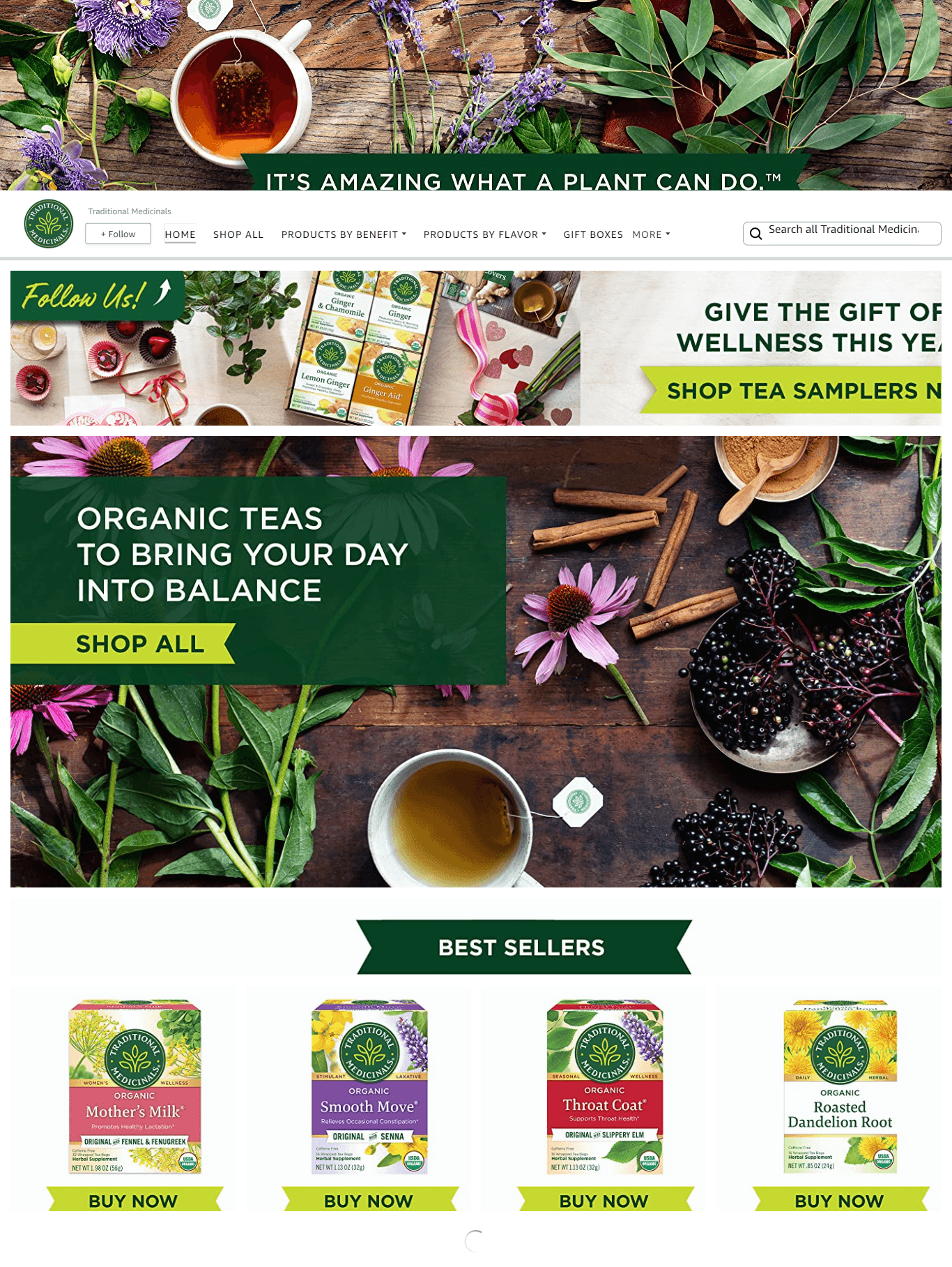 Amazon.com Traditional Medicinals: Storefront
