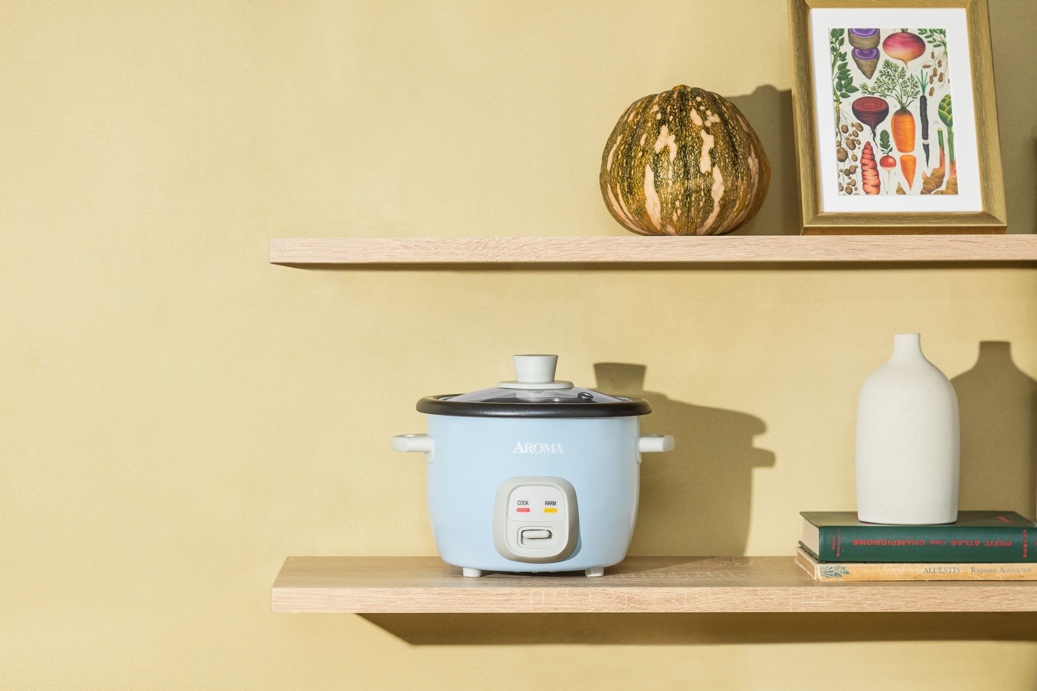Aroma Housewares 4: Backdrops