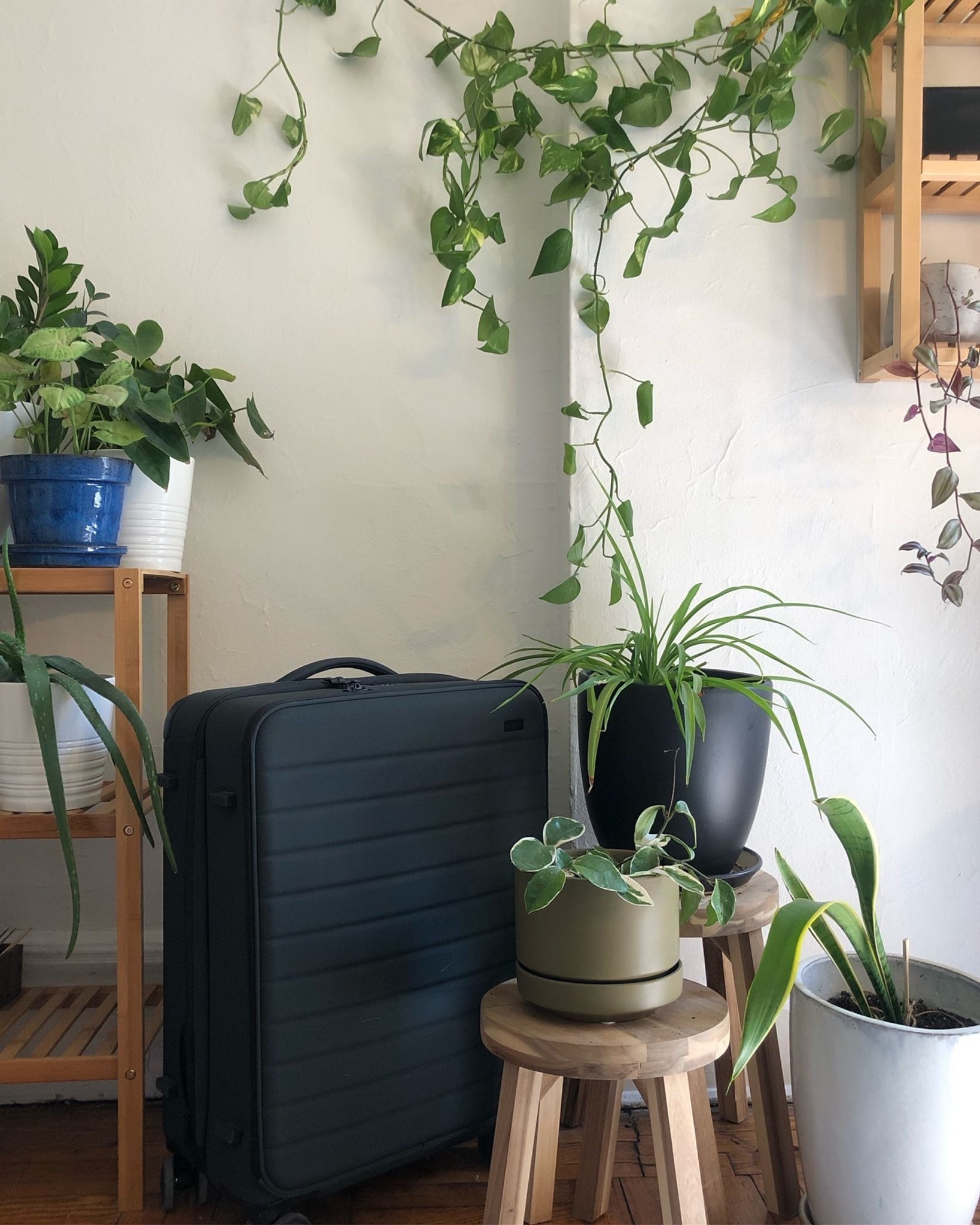 Away Travel 12: Lifestyle Secondary Images