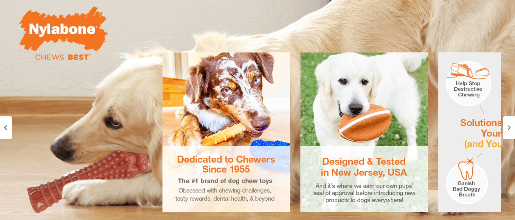 B00EE653BC: Brand Stories