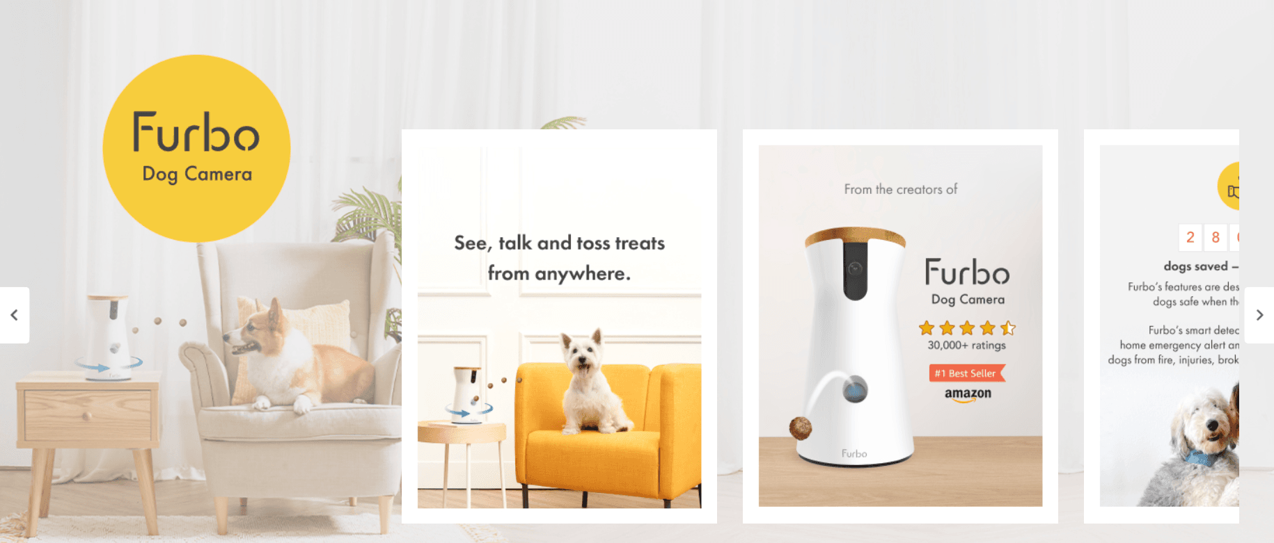 B09GDQZLD1: Brand Stories