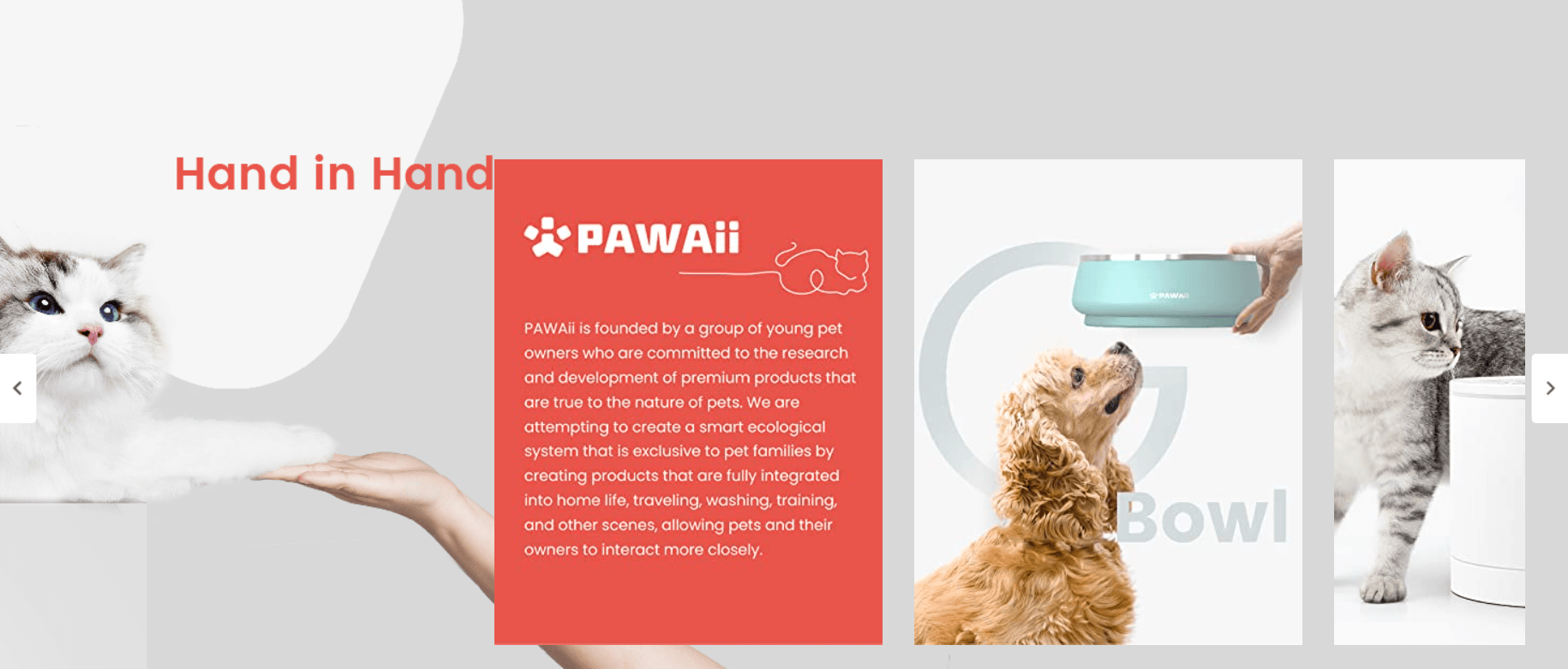B0B5L1YYVQ: Brand Stories