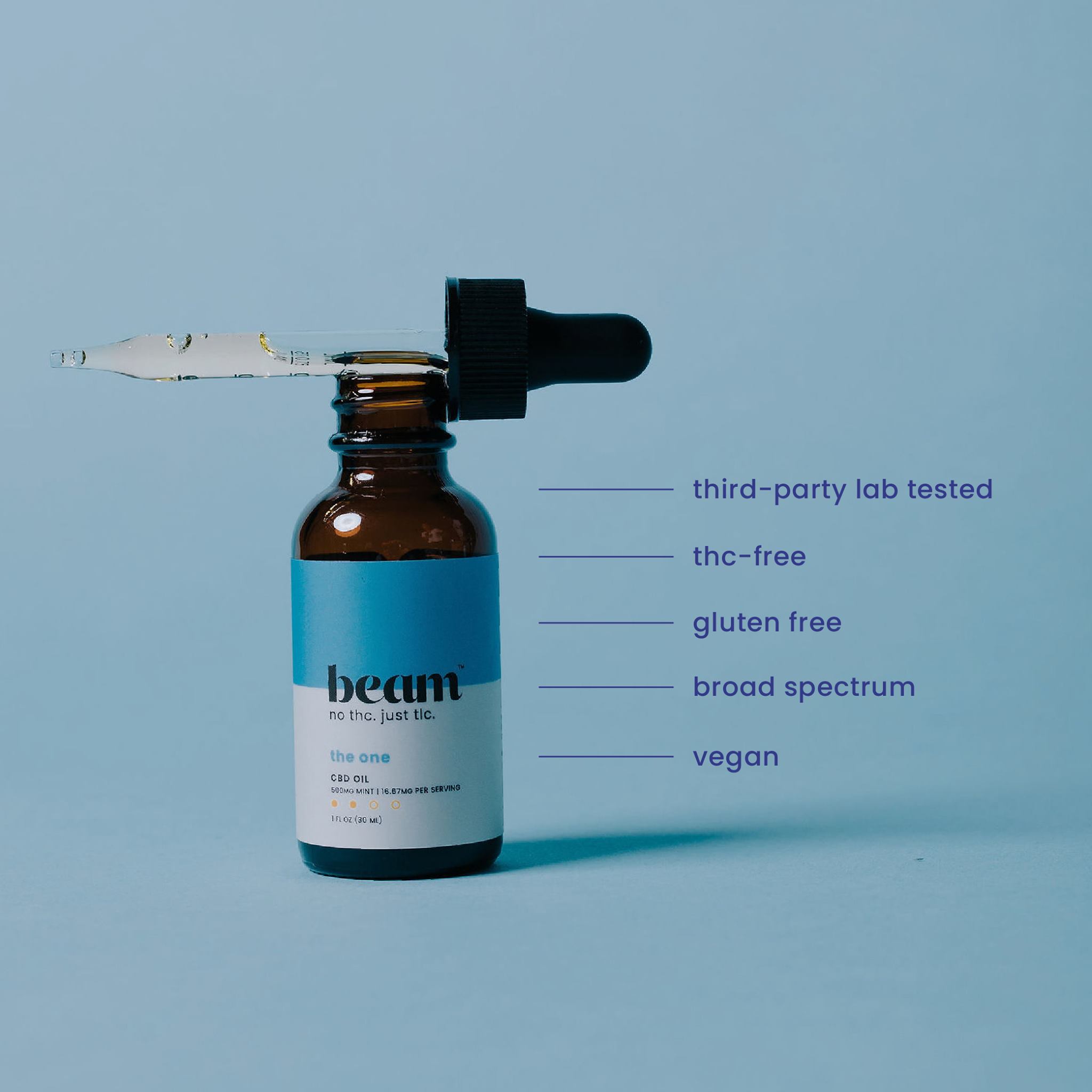Beam 3: Infographics