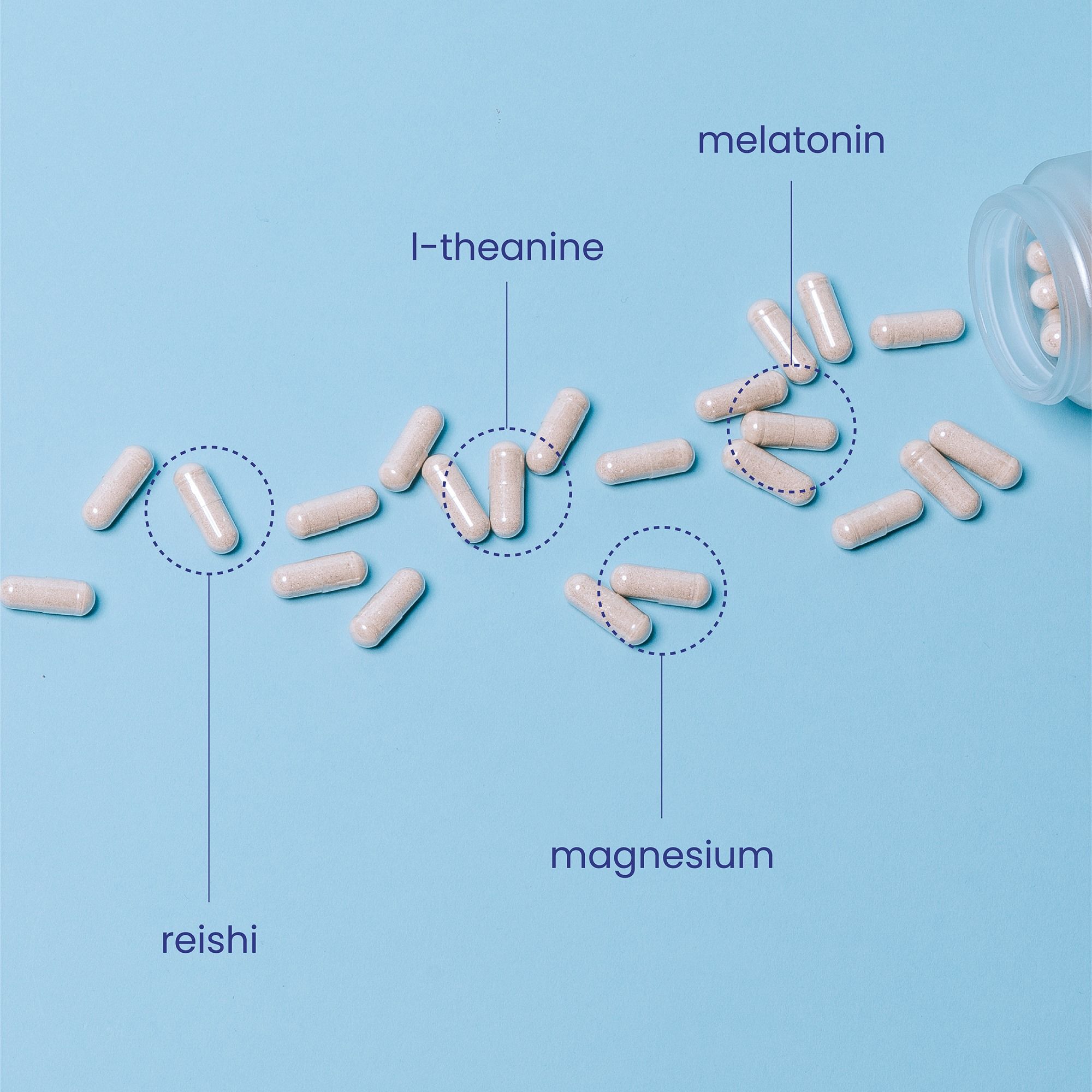 Beam 8: Infographics