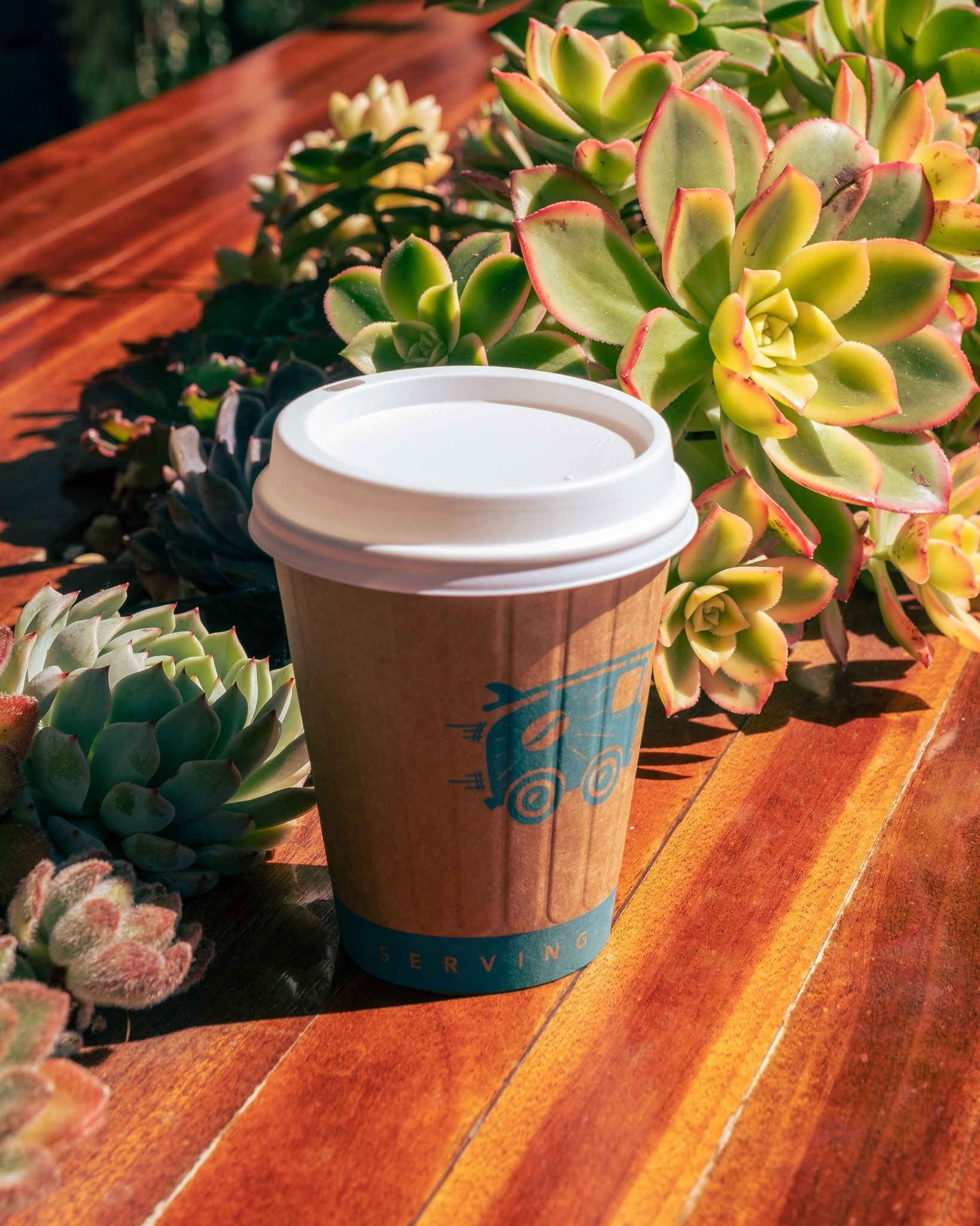 Bird Rock Coffee Roasters 16: Lifestyle Secondary Images