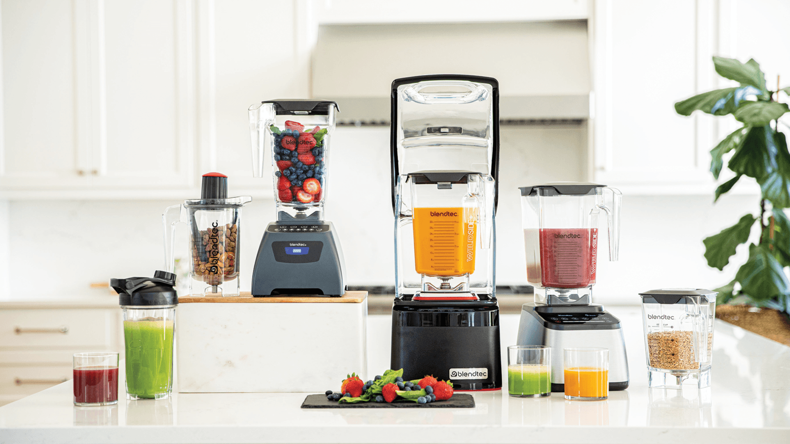 Blendtec 19: A+