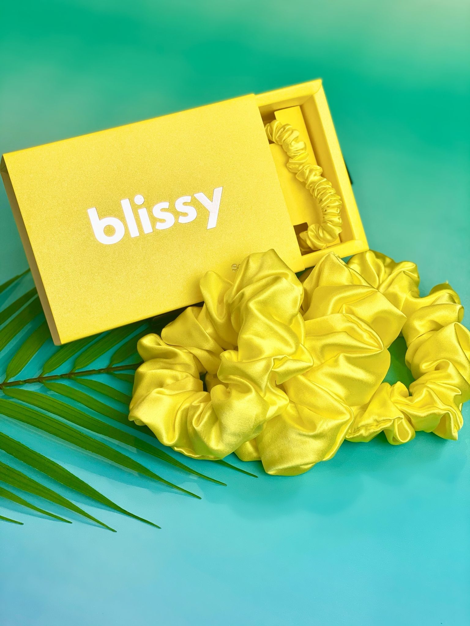 Blissy 32: Backdrops