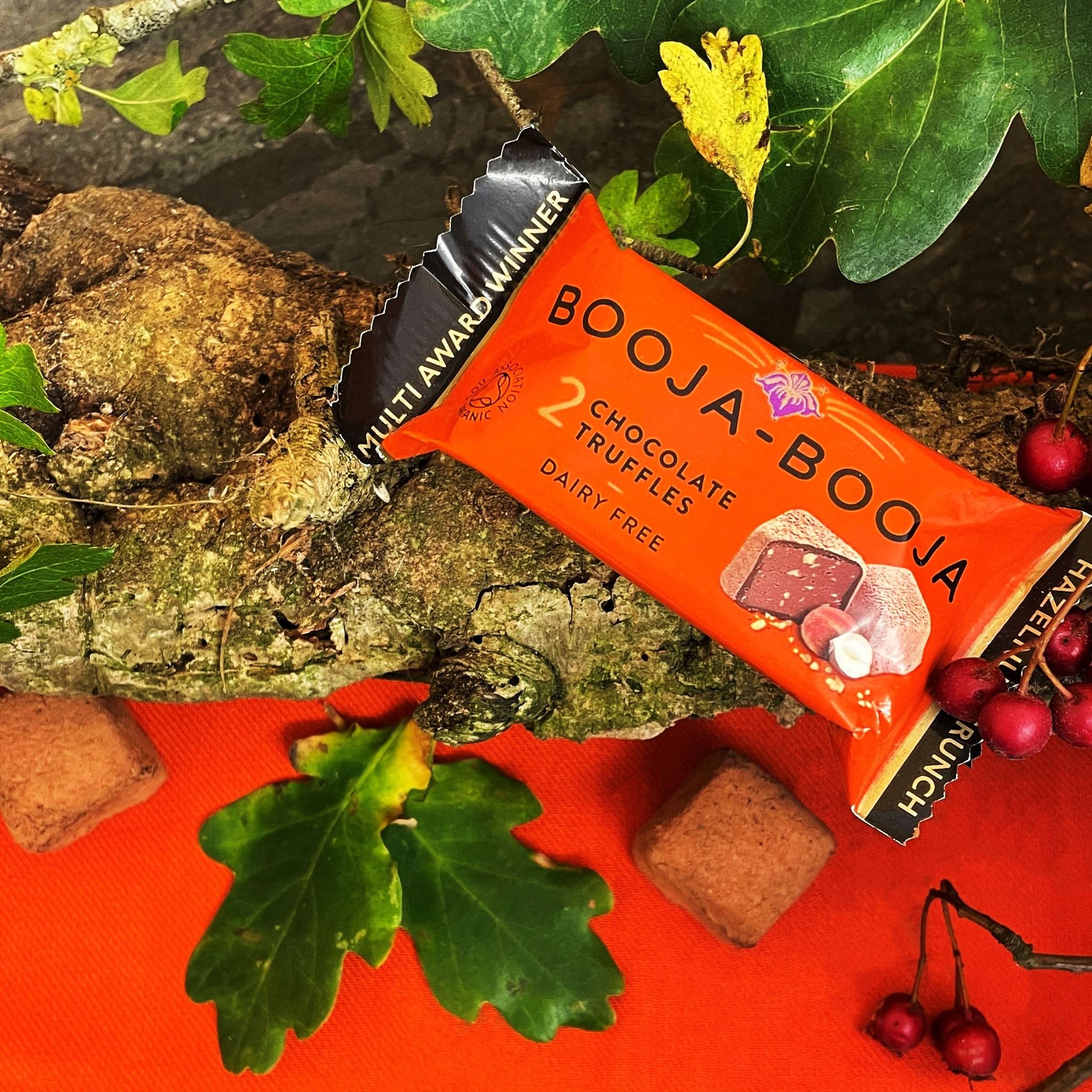 Booja-Booja 16: Lifestyle Secondary Images