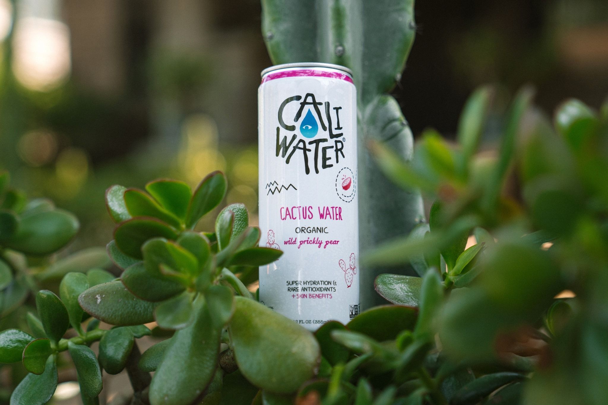 Caliwater 11: Lifestyle Secondary Images