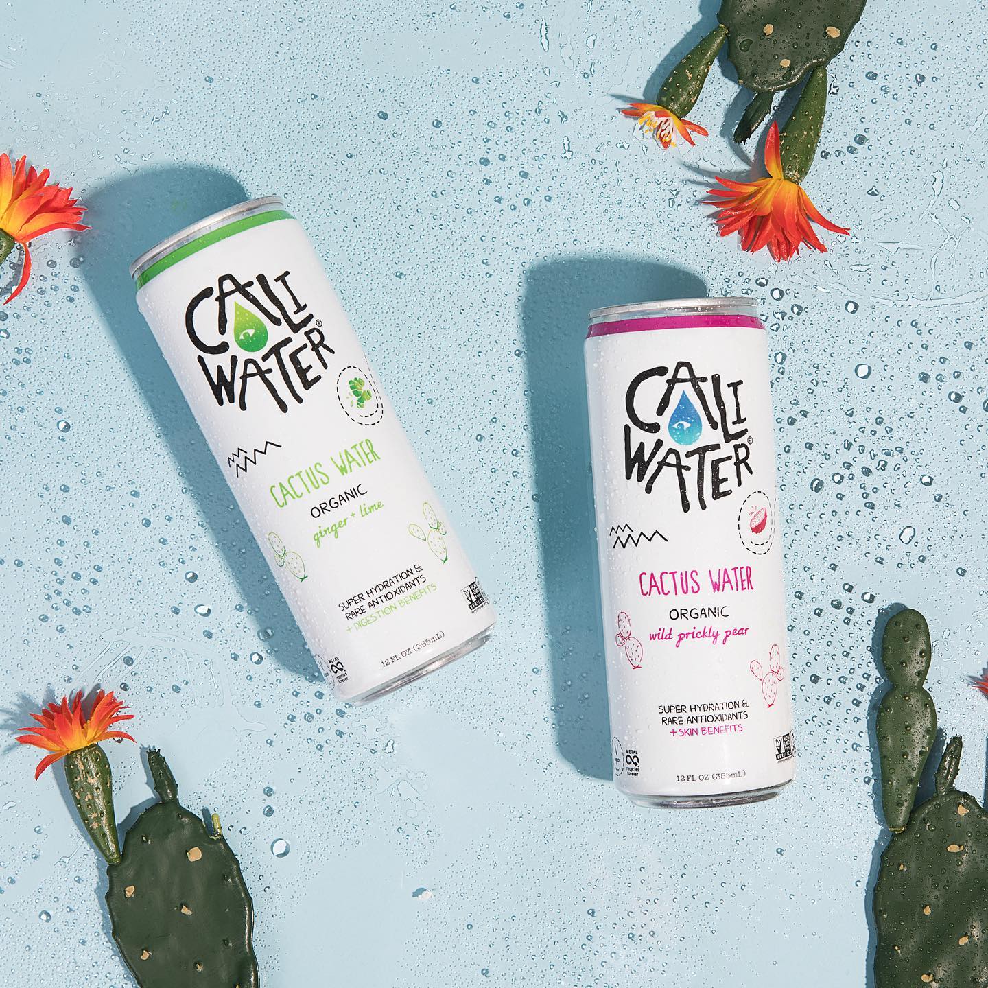 Caliwater 20: Backdrops