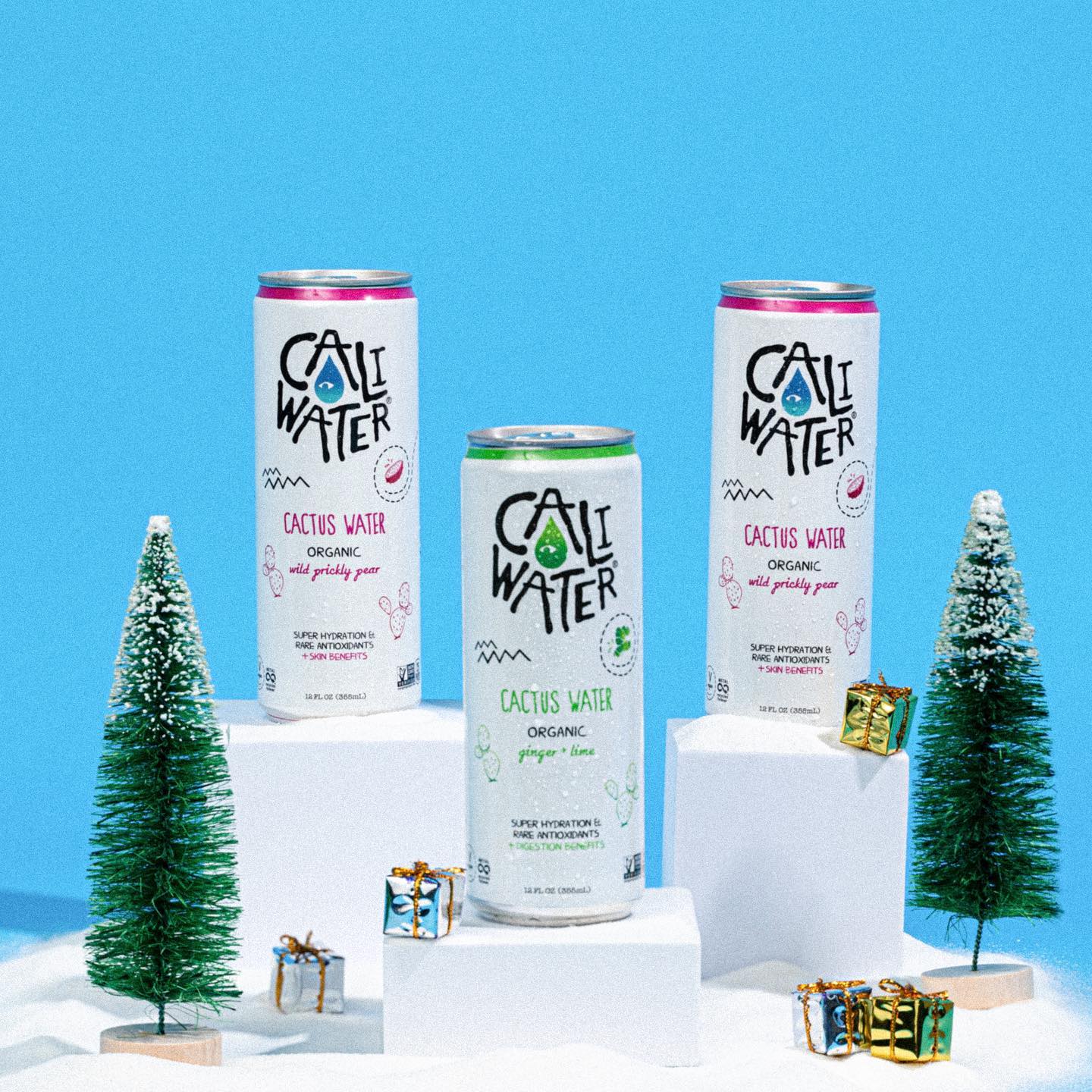 Caliwater 39: Backdrops