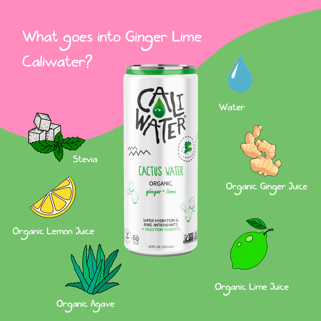 Caliwater 53: Infographics