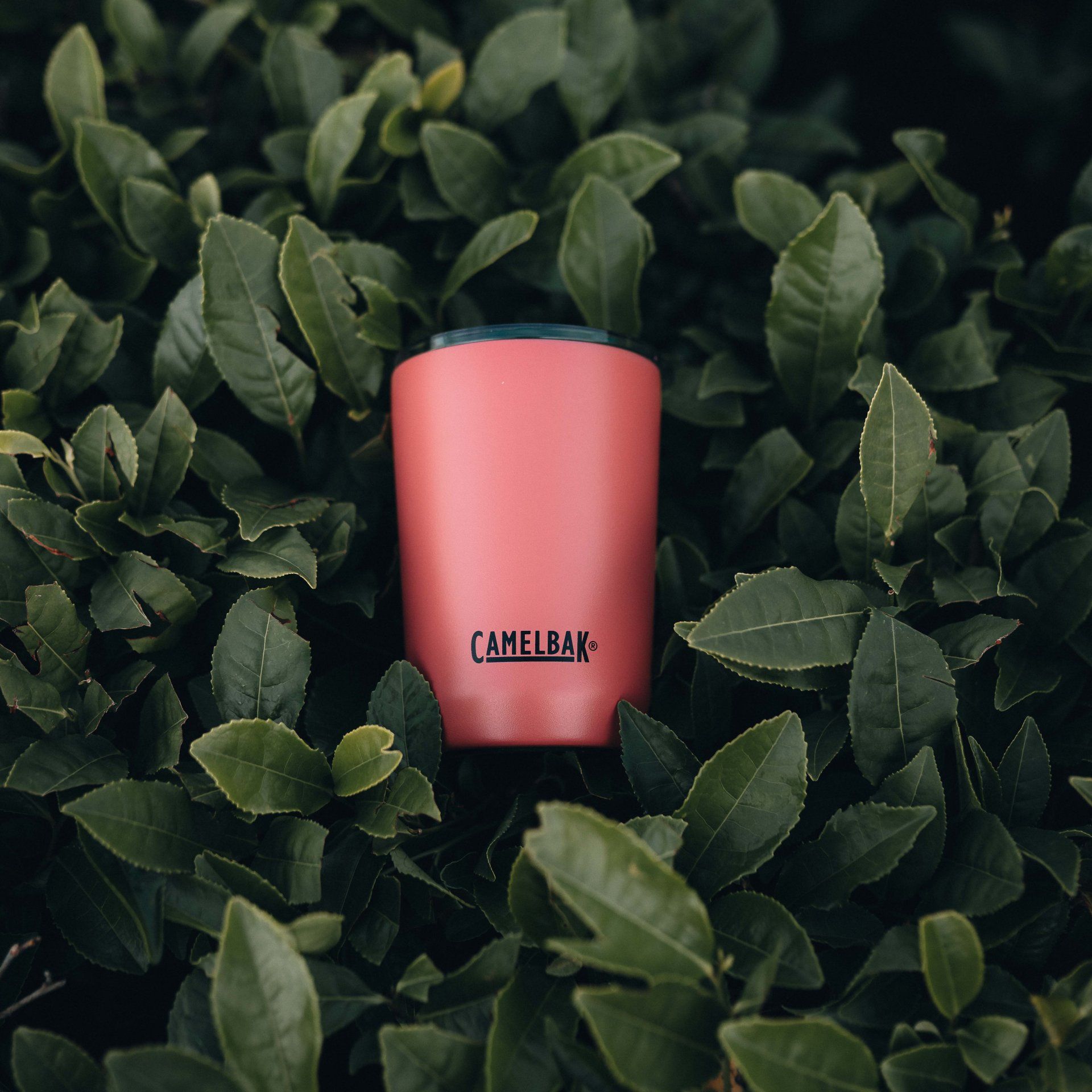CamelBak 8: Backdrops