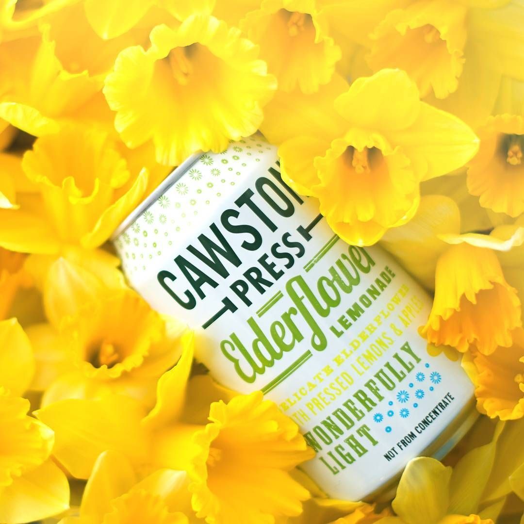 Cawston Press 6: Backdrops