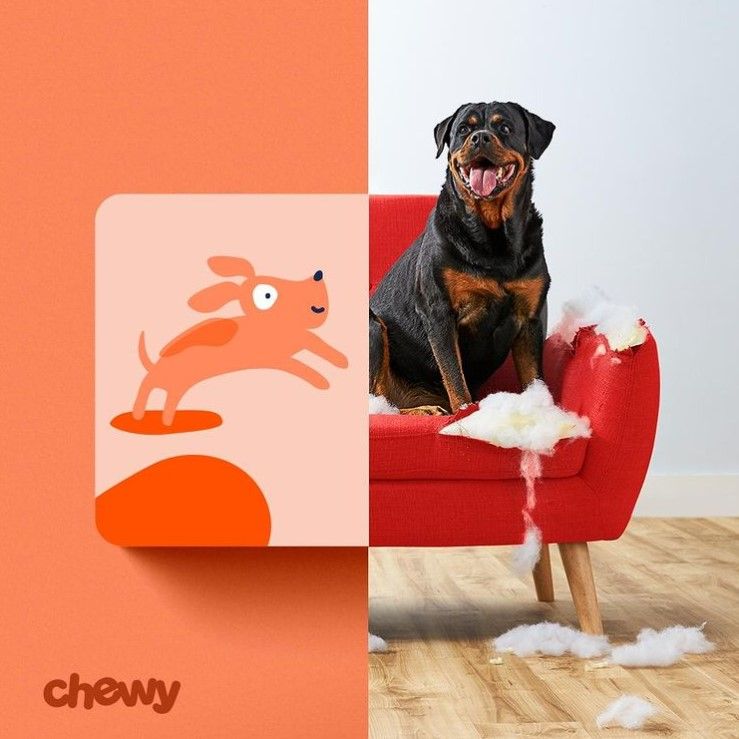 Chewy 11: Backdrops