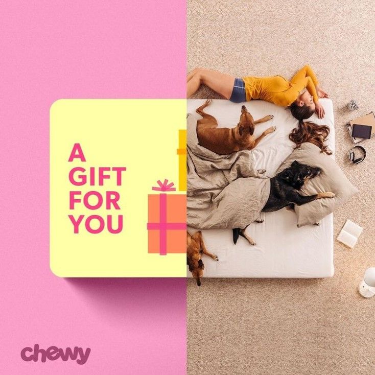 Chewy 12: Backdrops