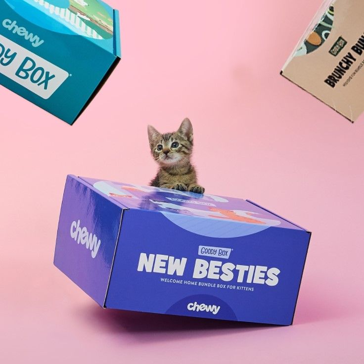 Chewy 3: Backdrops