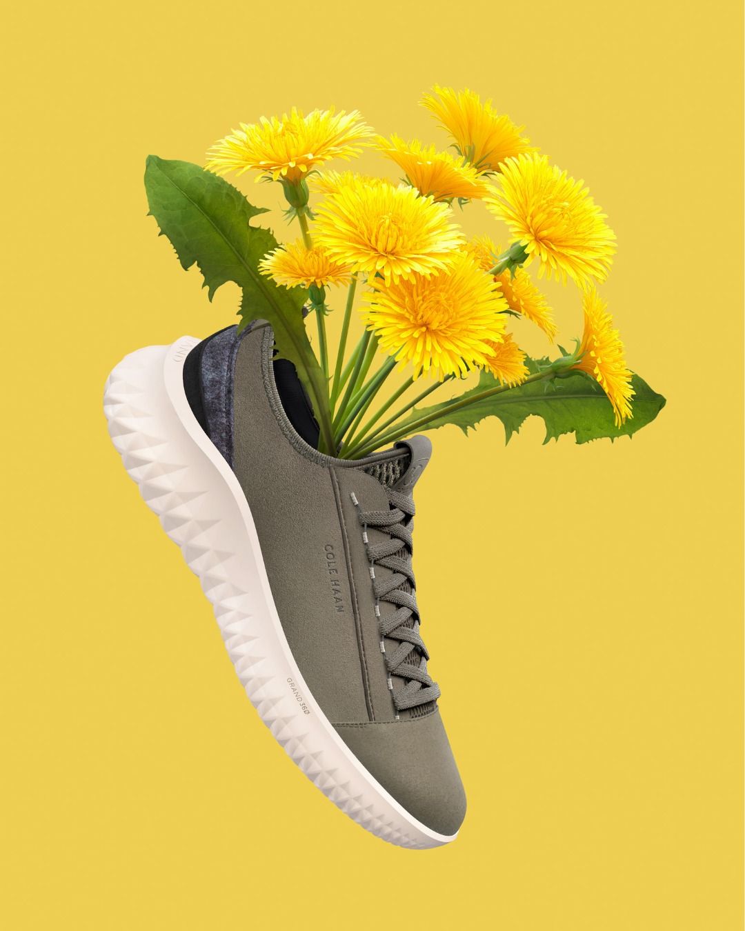 Cole Haan 5: Backdrops