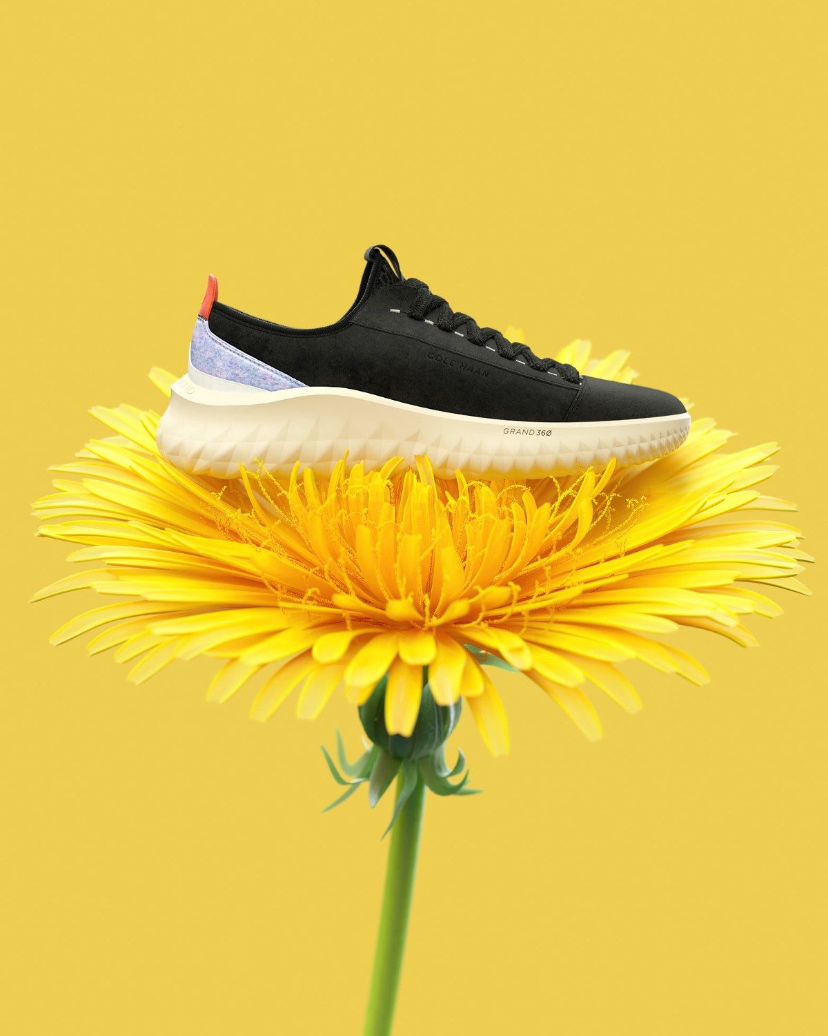 Cole Haan 8: Backdrops
