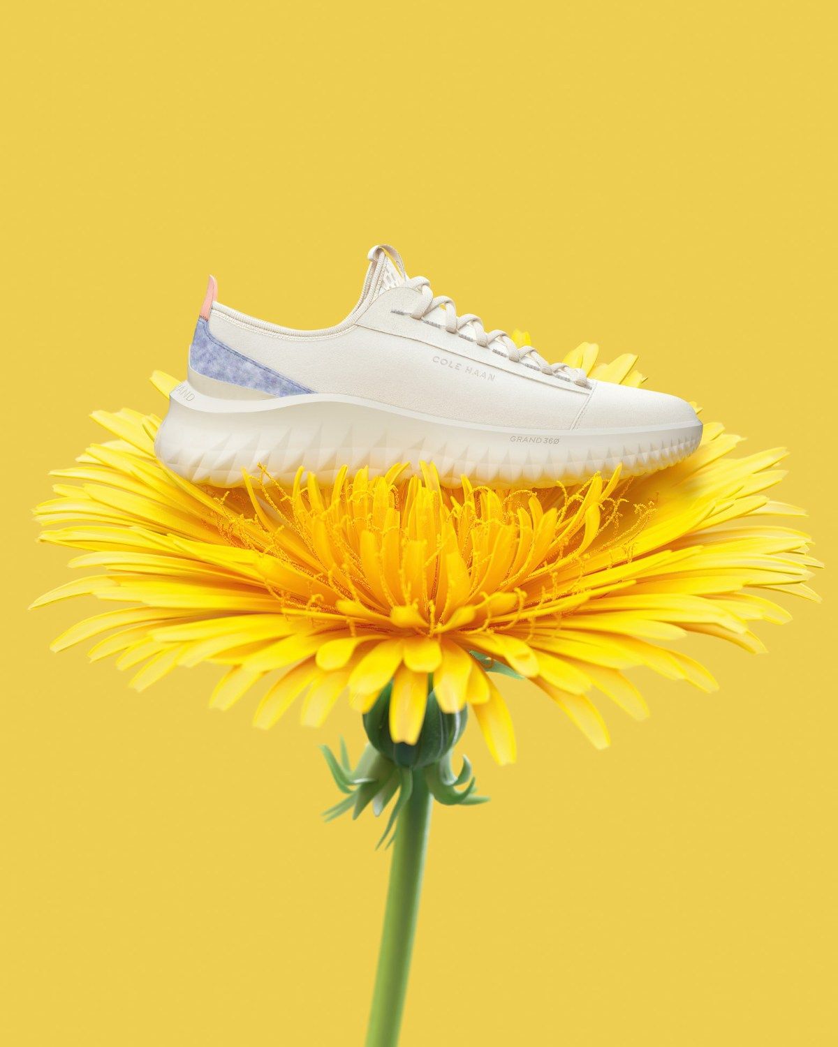 Cole Haan 9: Backdrops