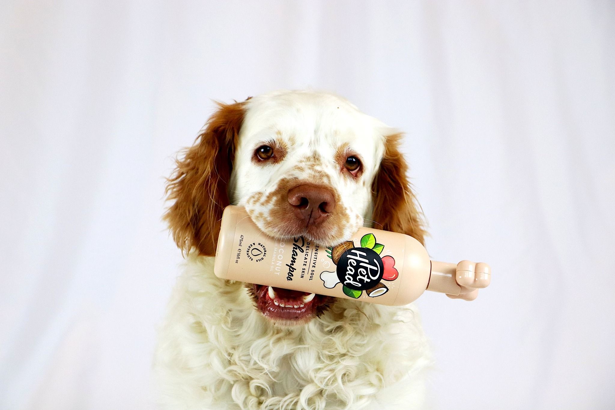 Company of Animals 3: Lifestyle Secondary Images