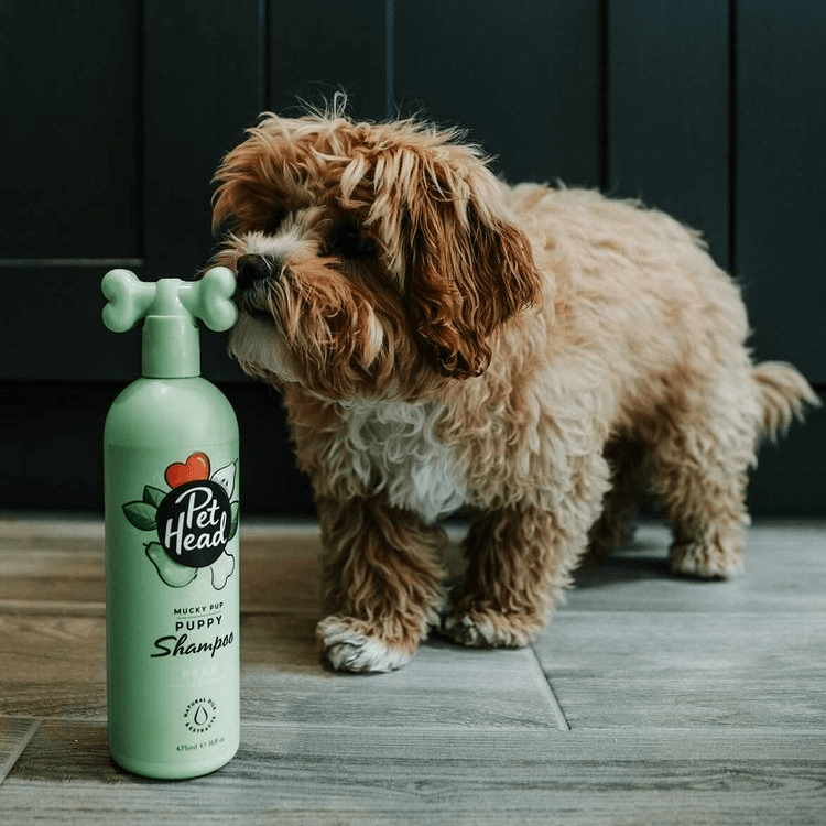 Company of Animals 5: Lifestyle Secondary Images