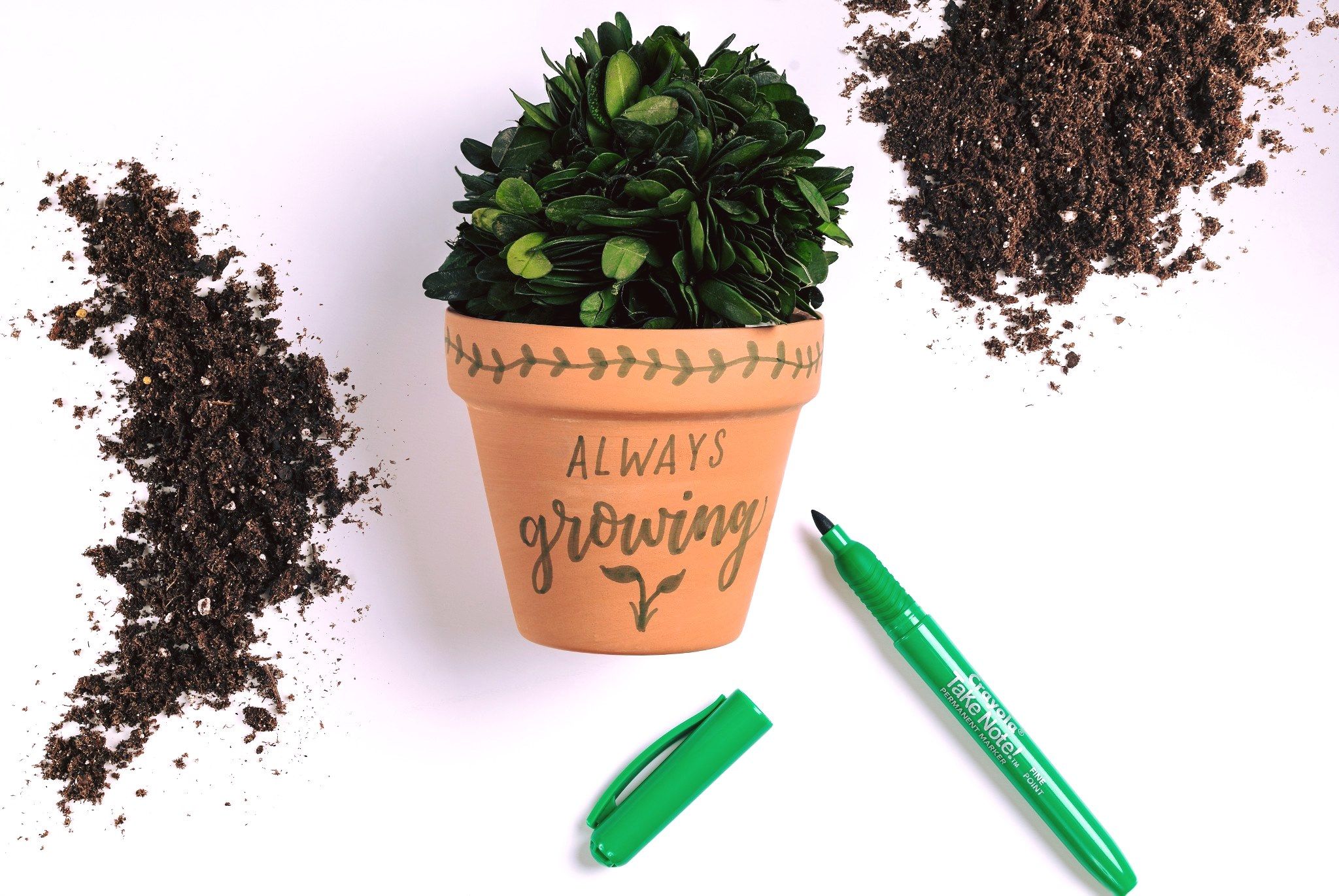 Crayola 7: Lifestyle Secondary Images