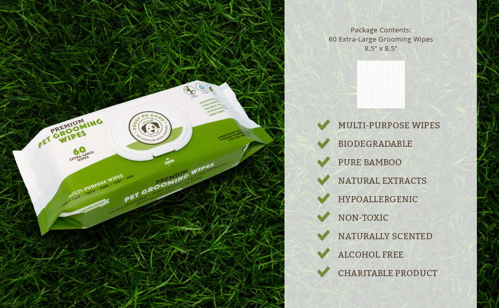DOGGY DO GOOD INF PET 1: Infographics