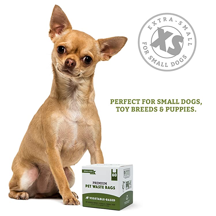 DOGGY DO GOOD INF PET 3: Infographics