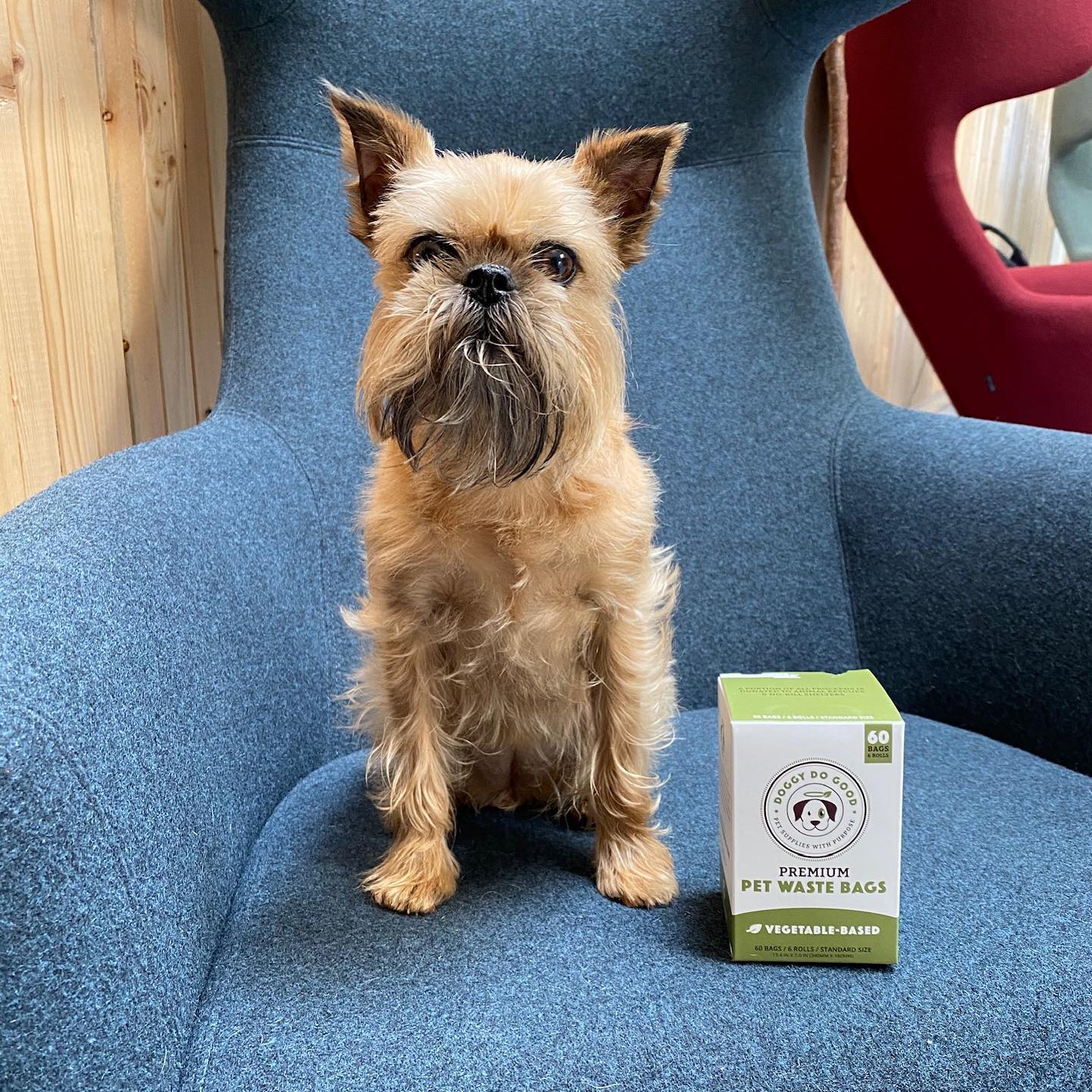 DOGGY DO GOOD LIF PET 2: Lifestyle Secondary Images