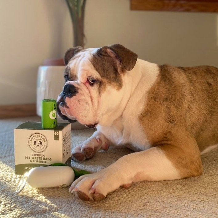DOGGY DO GOOD LIF PET 3: Lifestyle Secondary Images
