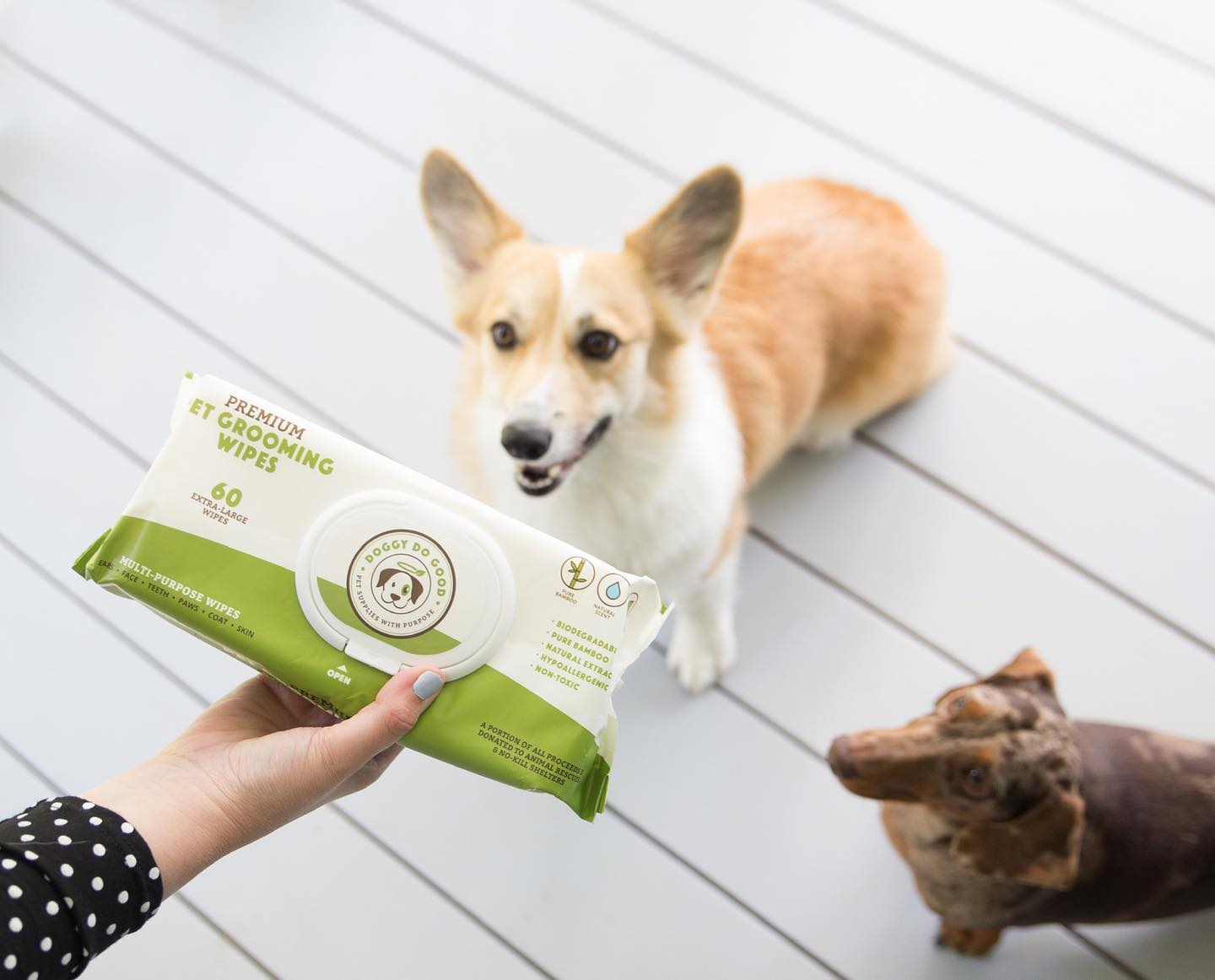 DOGGY DO GOOD LIF PET 5: Lifestyle Secondary Images