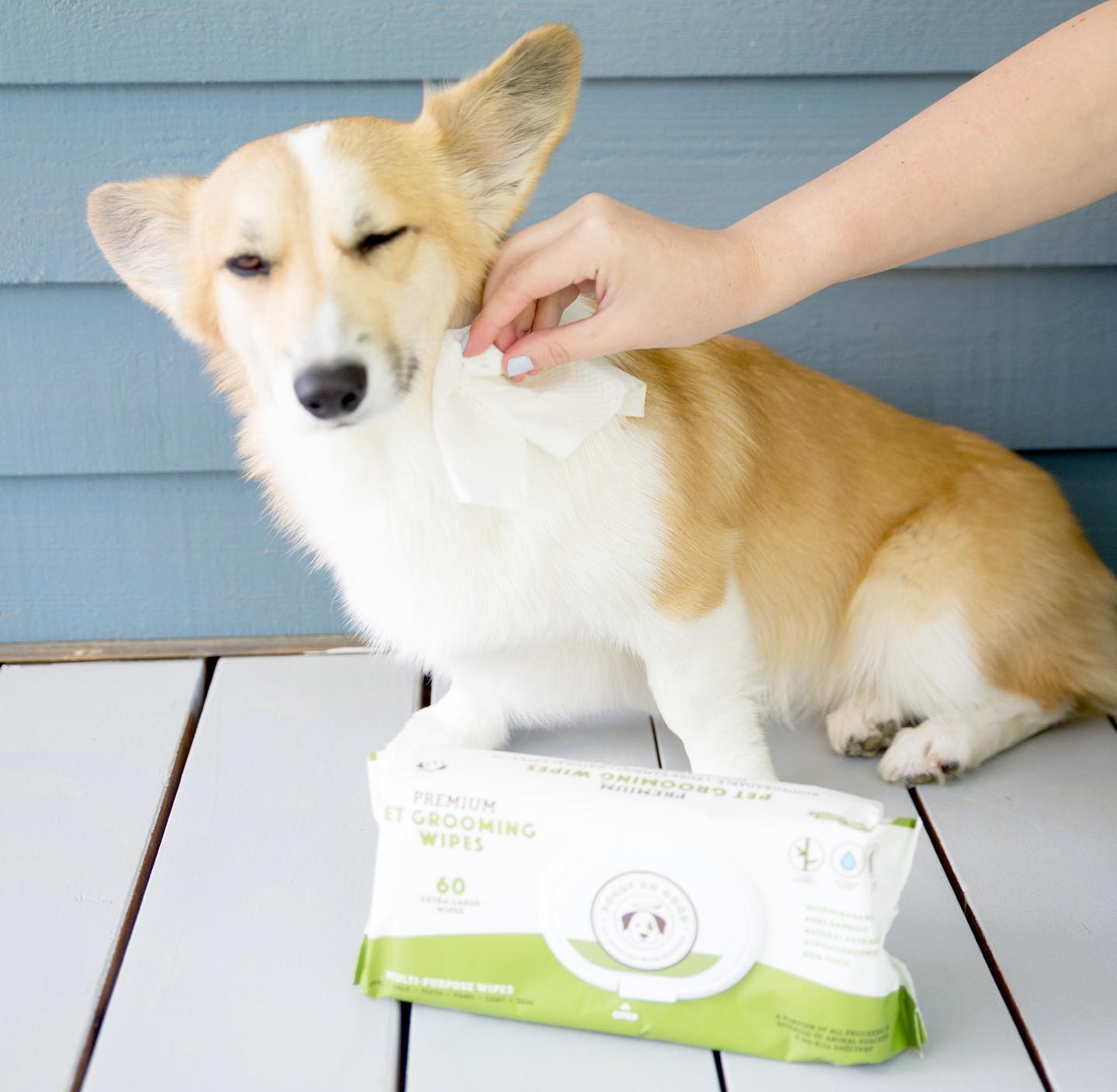 DOGGY DO GOOD LIF PET 6: Lifestyle Secondary Images