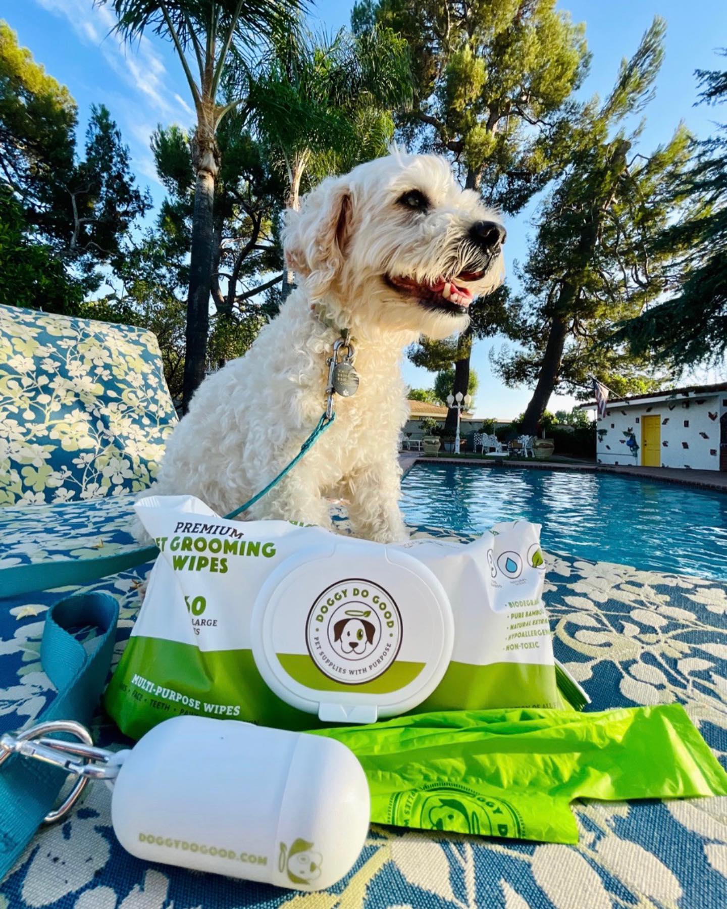 DOGGY DO GOOD LIF PET 7: Lifestyle Secondary Images