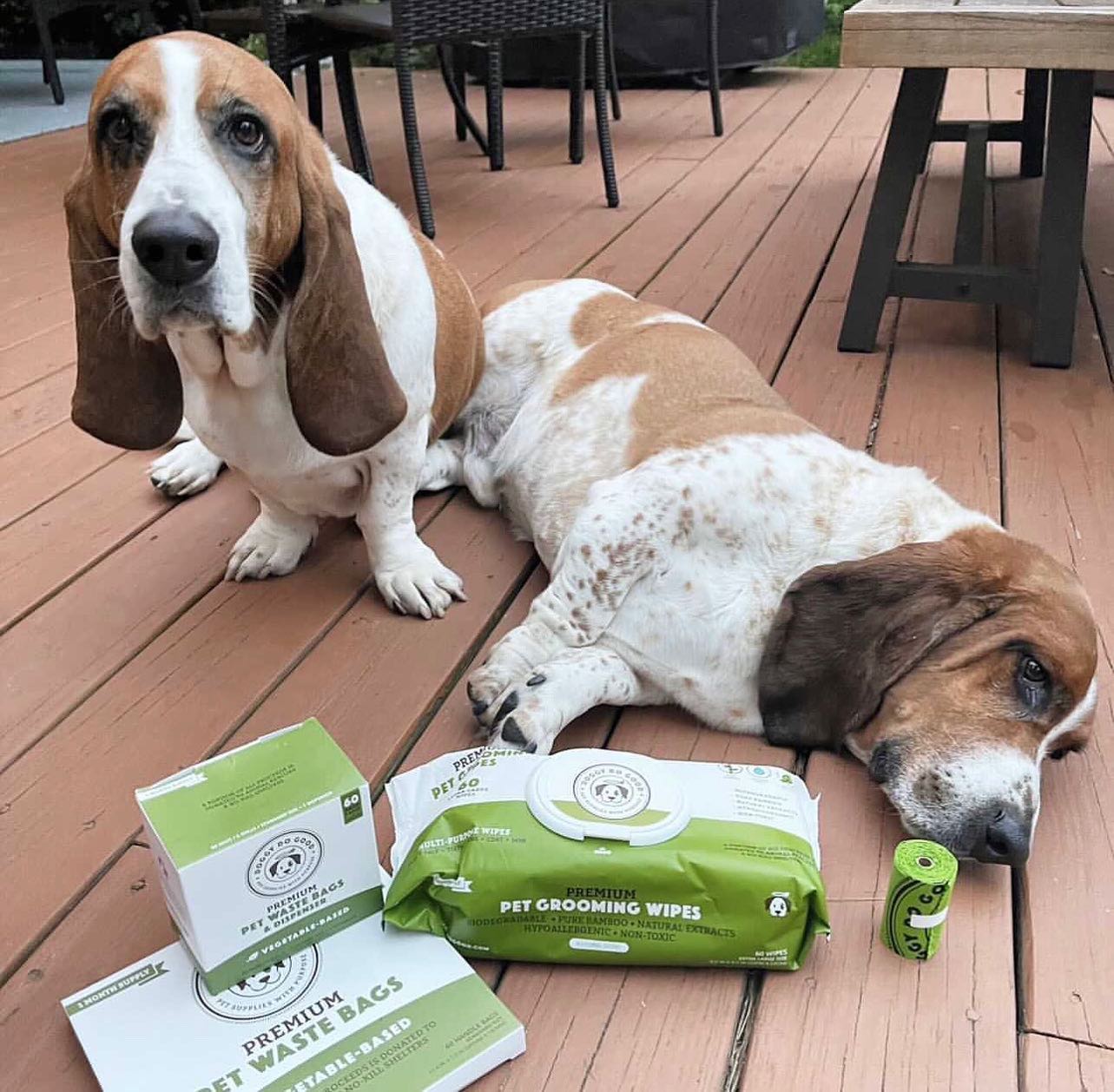 DOGGY DO GOOD LIF PET 8: Lifestyle Secondary Images