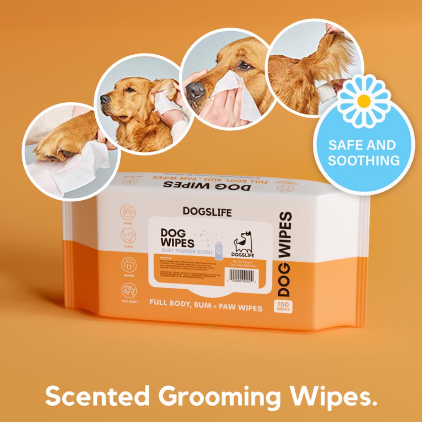 DOGSLIFE INF PET 10: Lifestyle Secondary Images