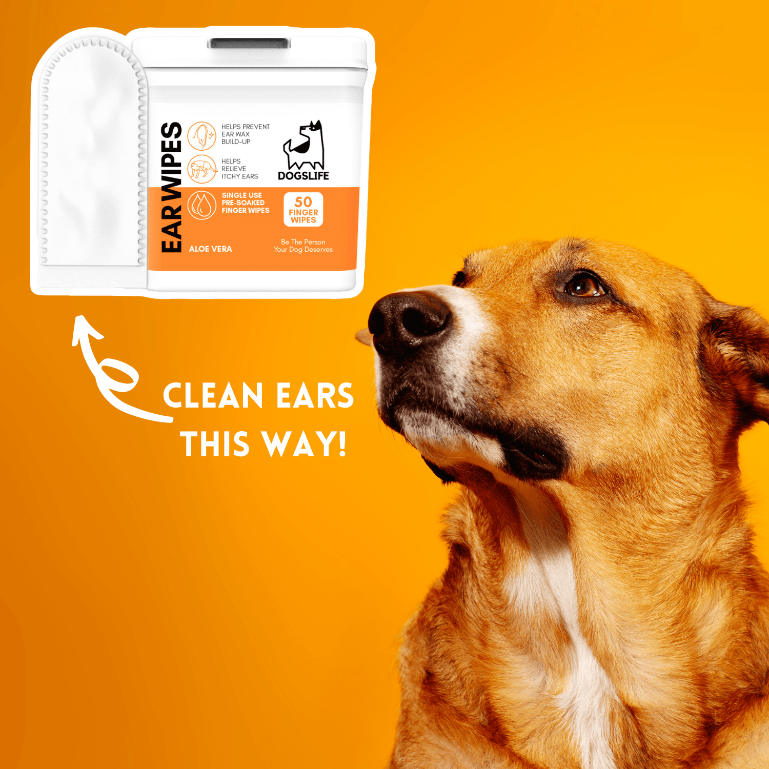 DOGSLIFE INF PET 2: Lifestyle Secondary Images
